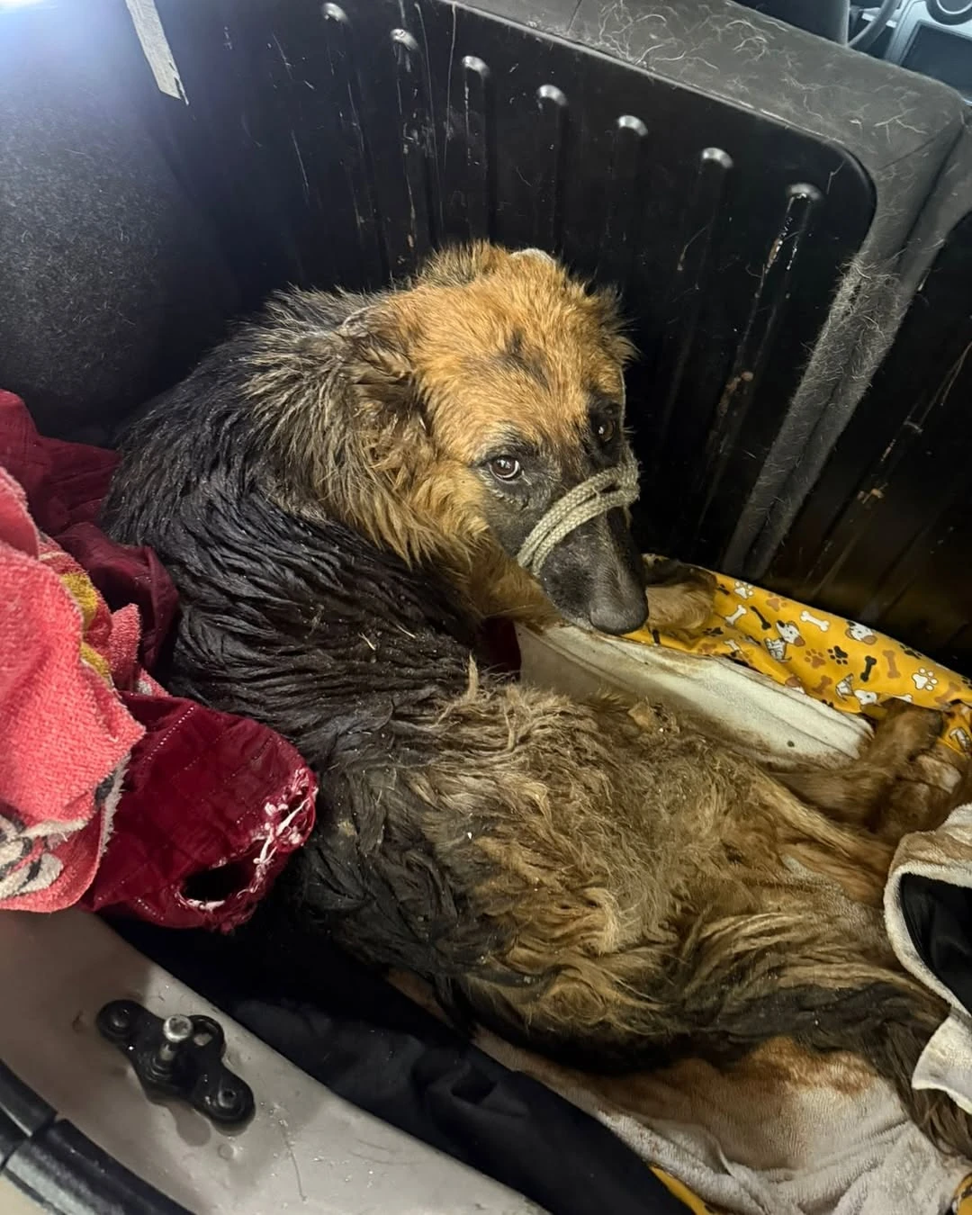 Asteca antes do resgate