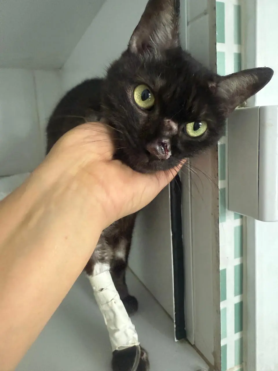 Max antes do resgate