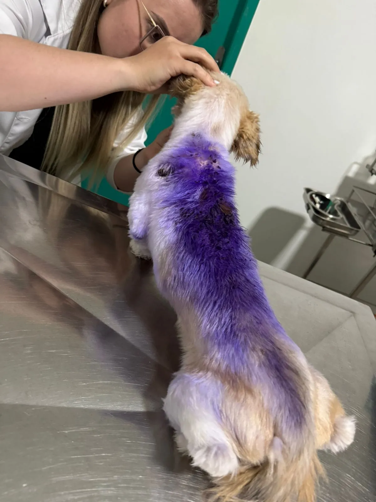 Mel antes do resgate