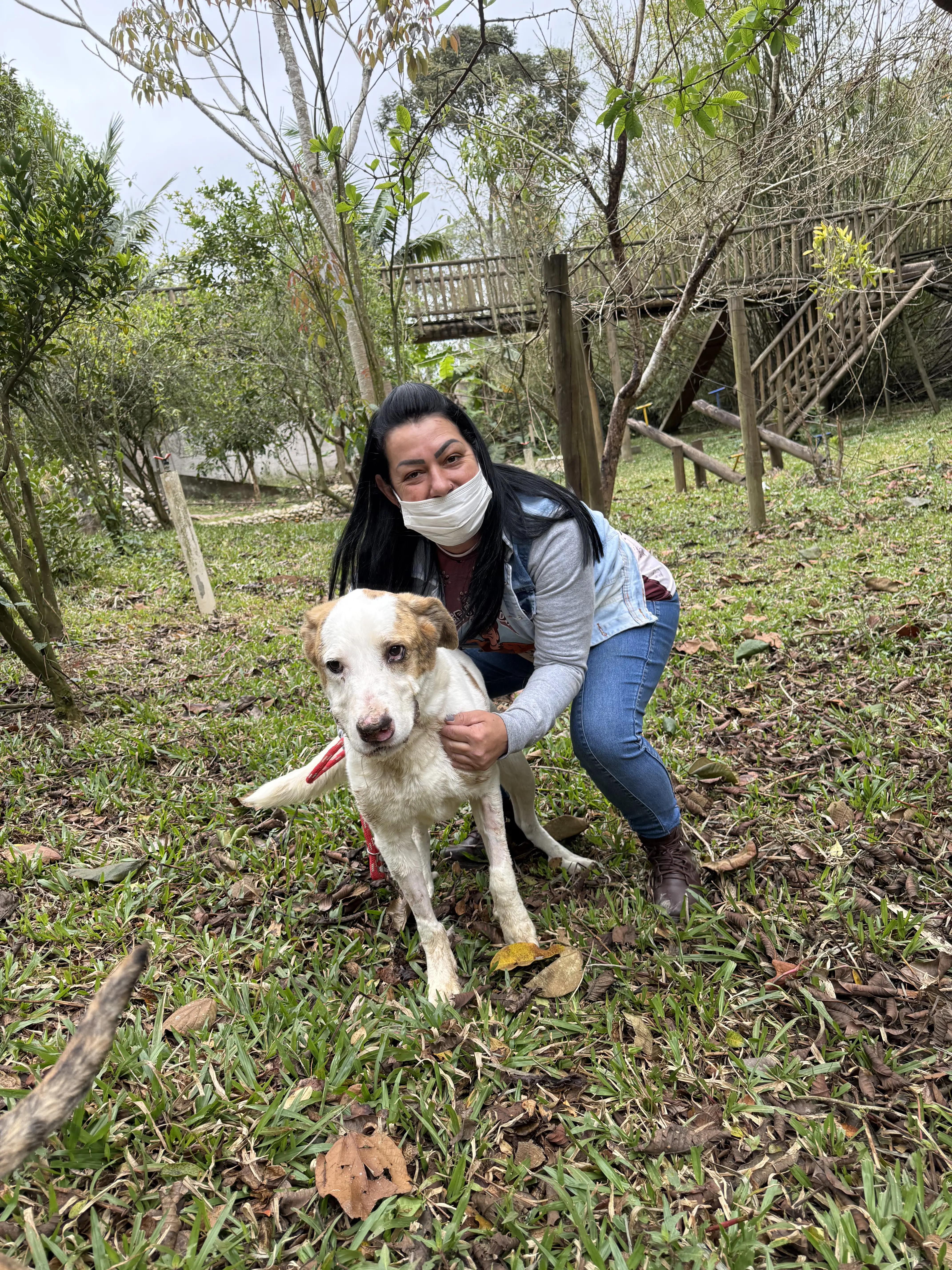 Luke depois do resgate